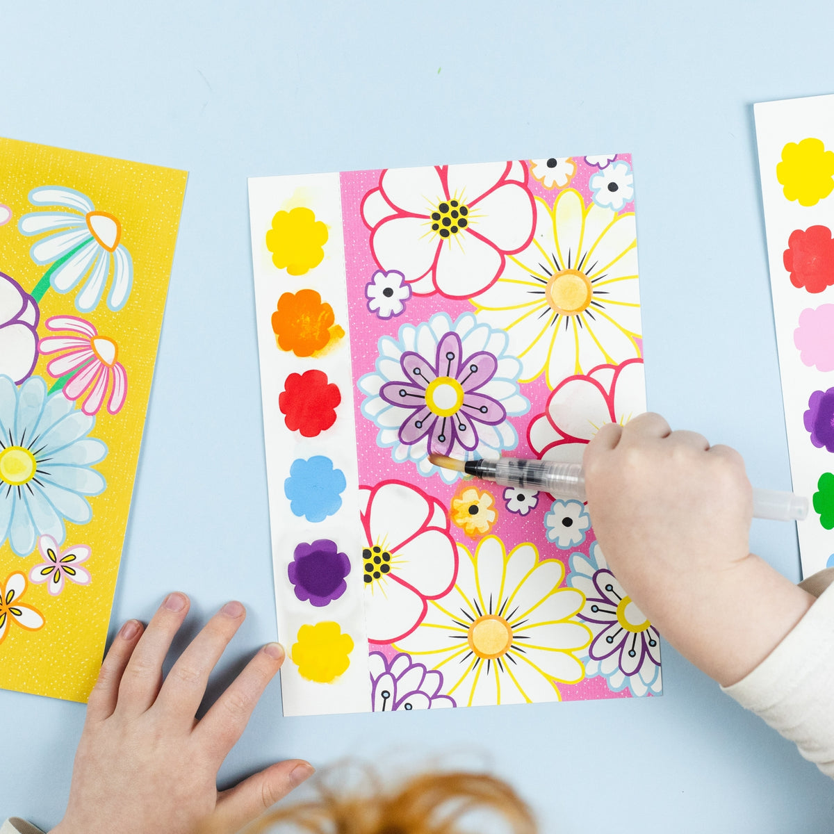 Paint a Picture Set - Butterflies & Flowers