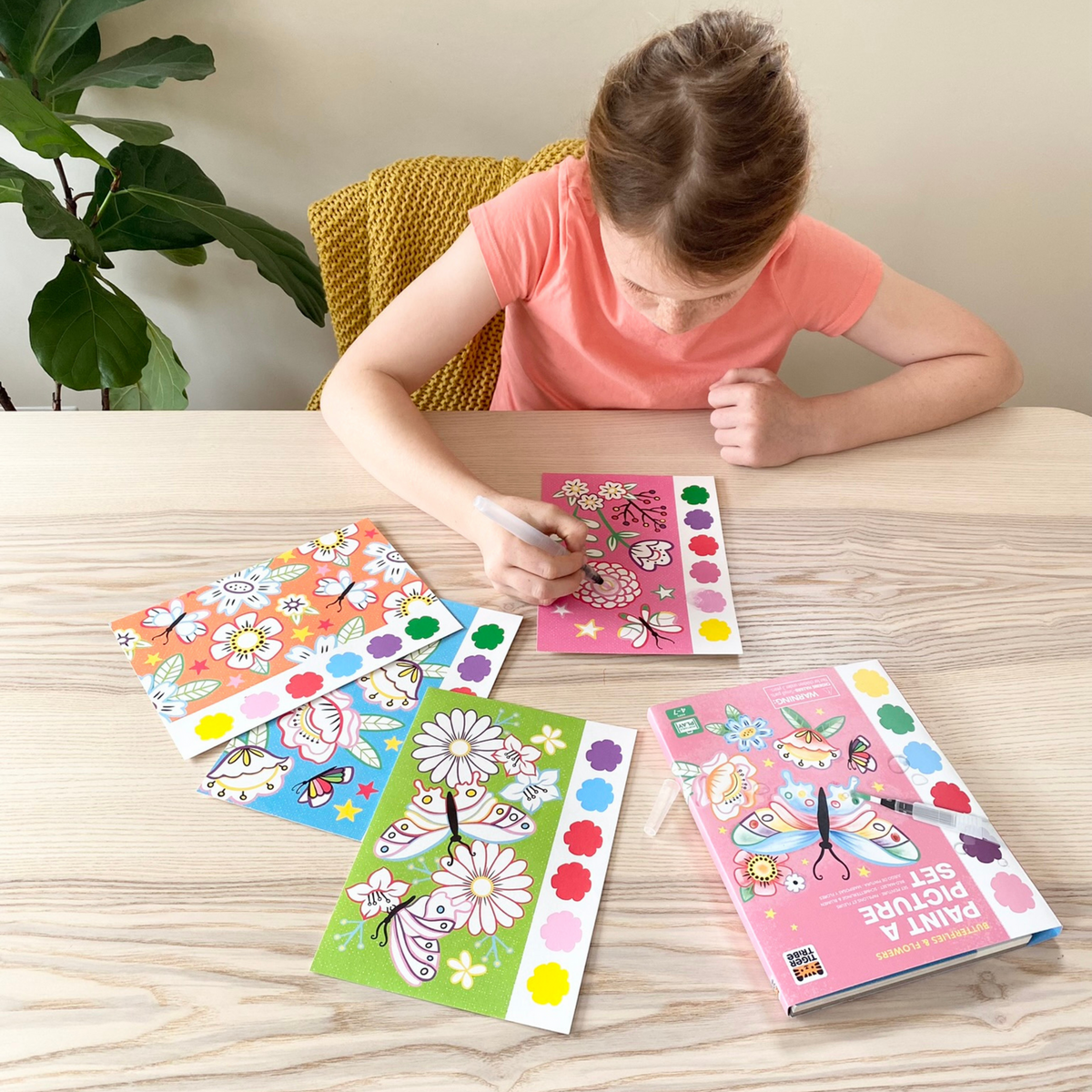 Paint a Picture Set - Butterflies & Flowers