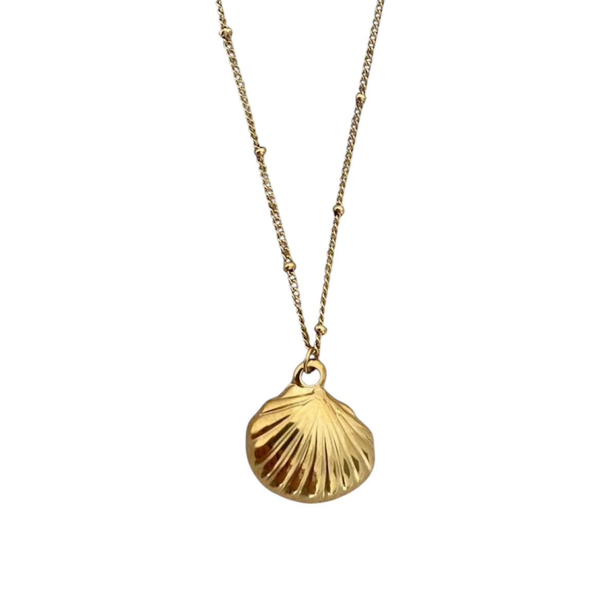 Shell Necklace - Gold