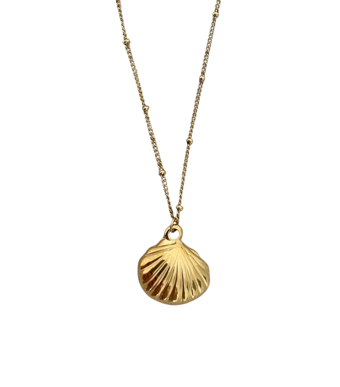 Shell Necklace - Gold