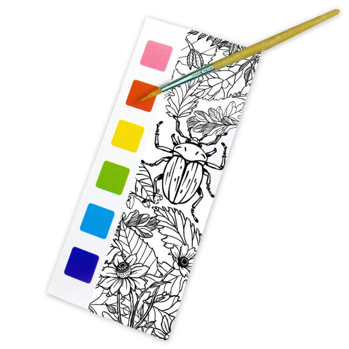 Paint Magic Woodlands Wildlife