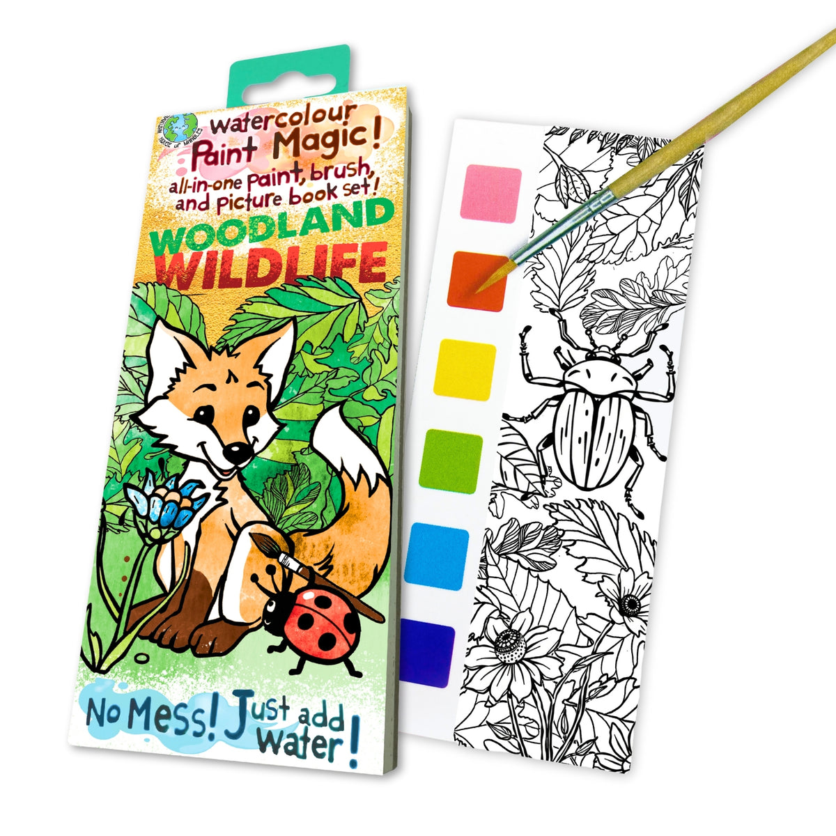 Paint Magic Woodlands Wildlife