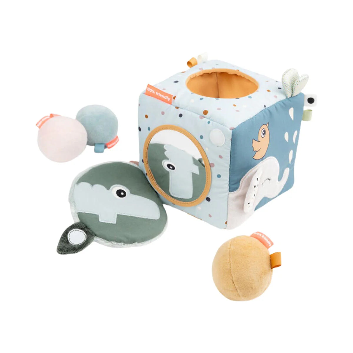 Discovery Cube - Friends