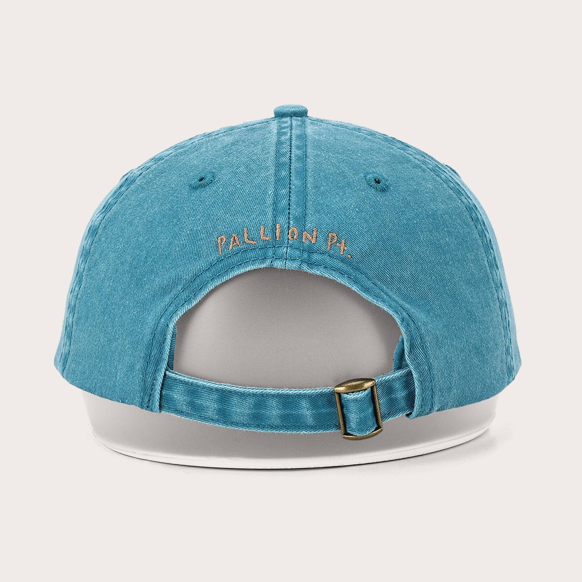 Turtle Lid
