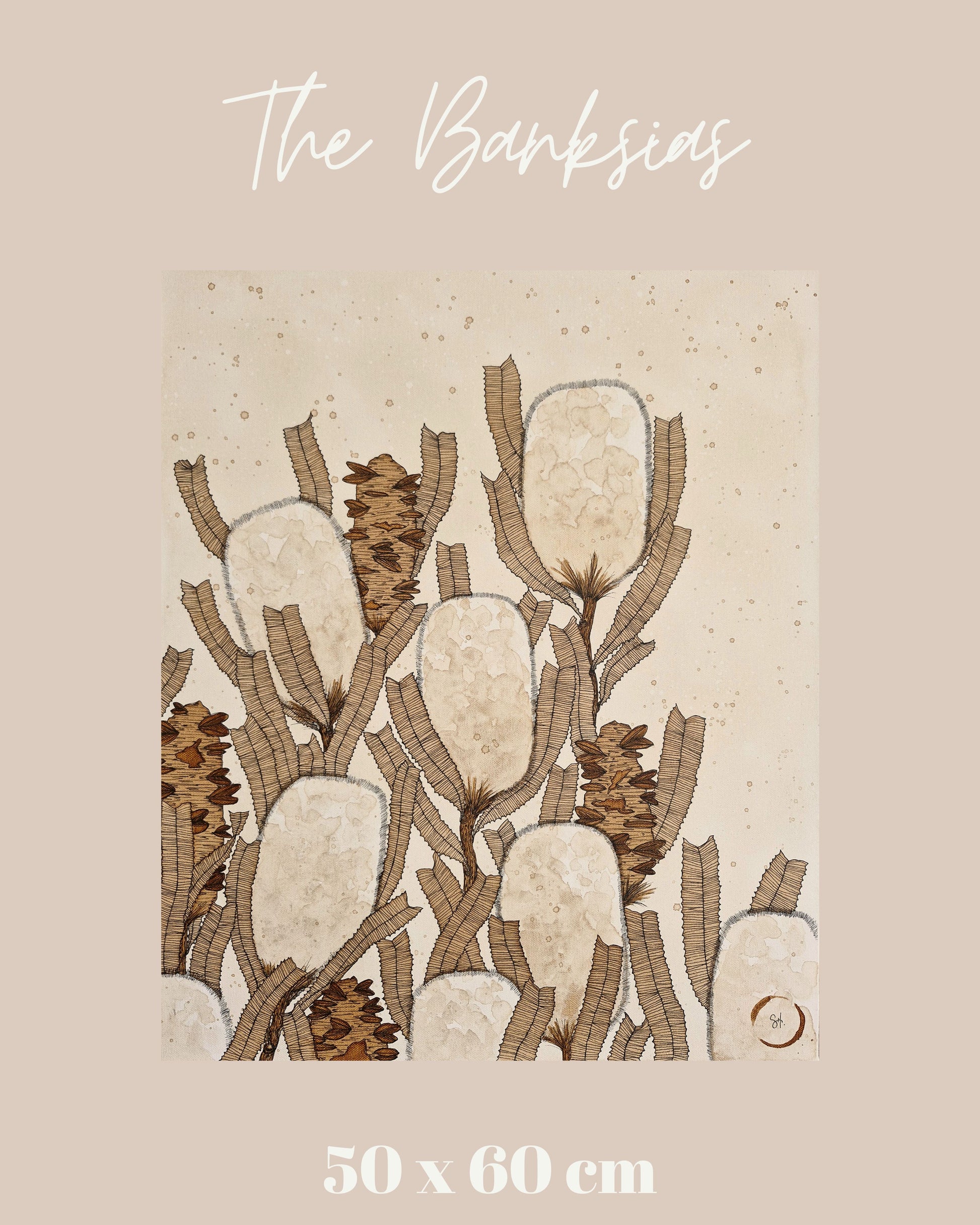 The Banksias