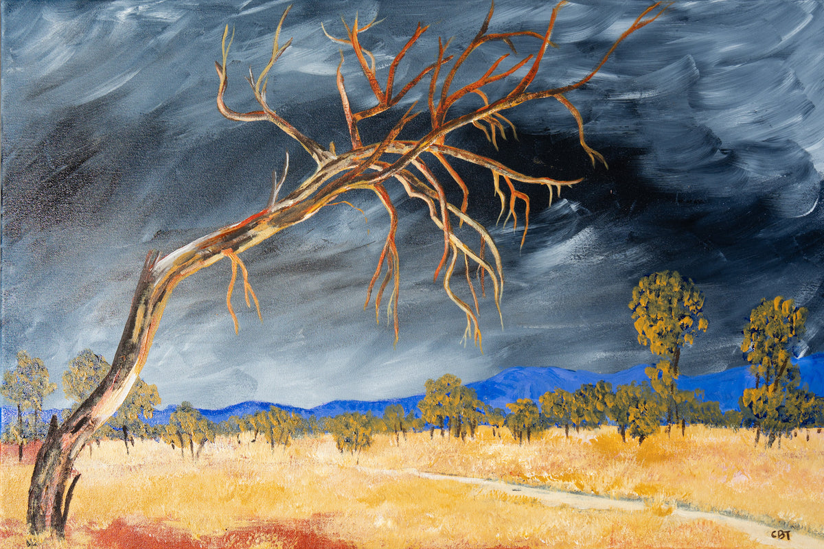 Longing for the Rain by Carolyn Brennan-Tucker