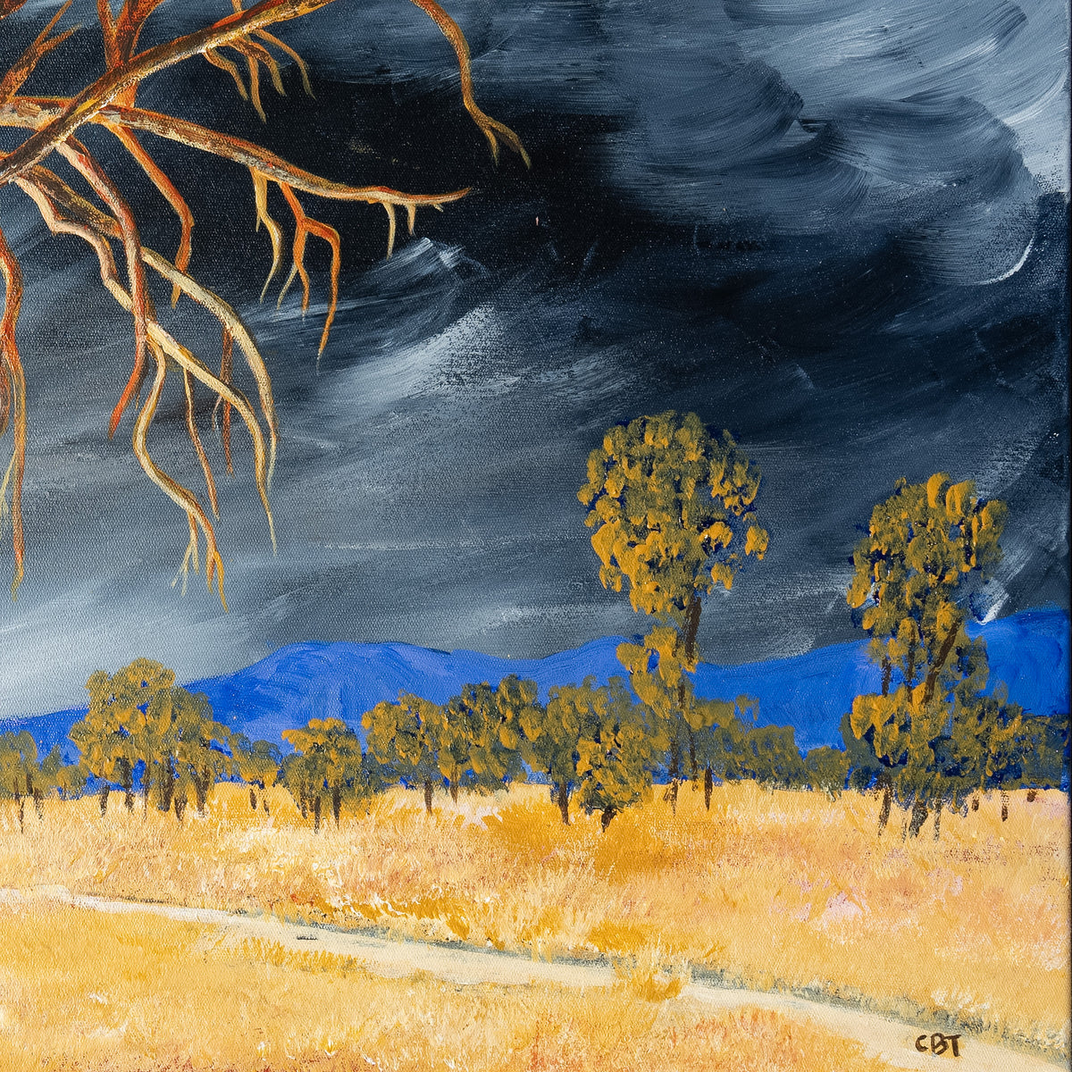 Longing for the Rain by Carolyn Brennan-Tucker