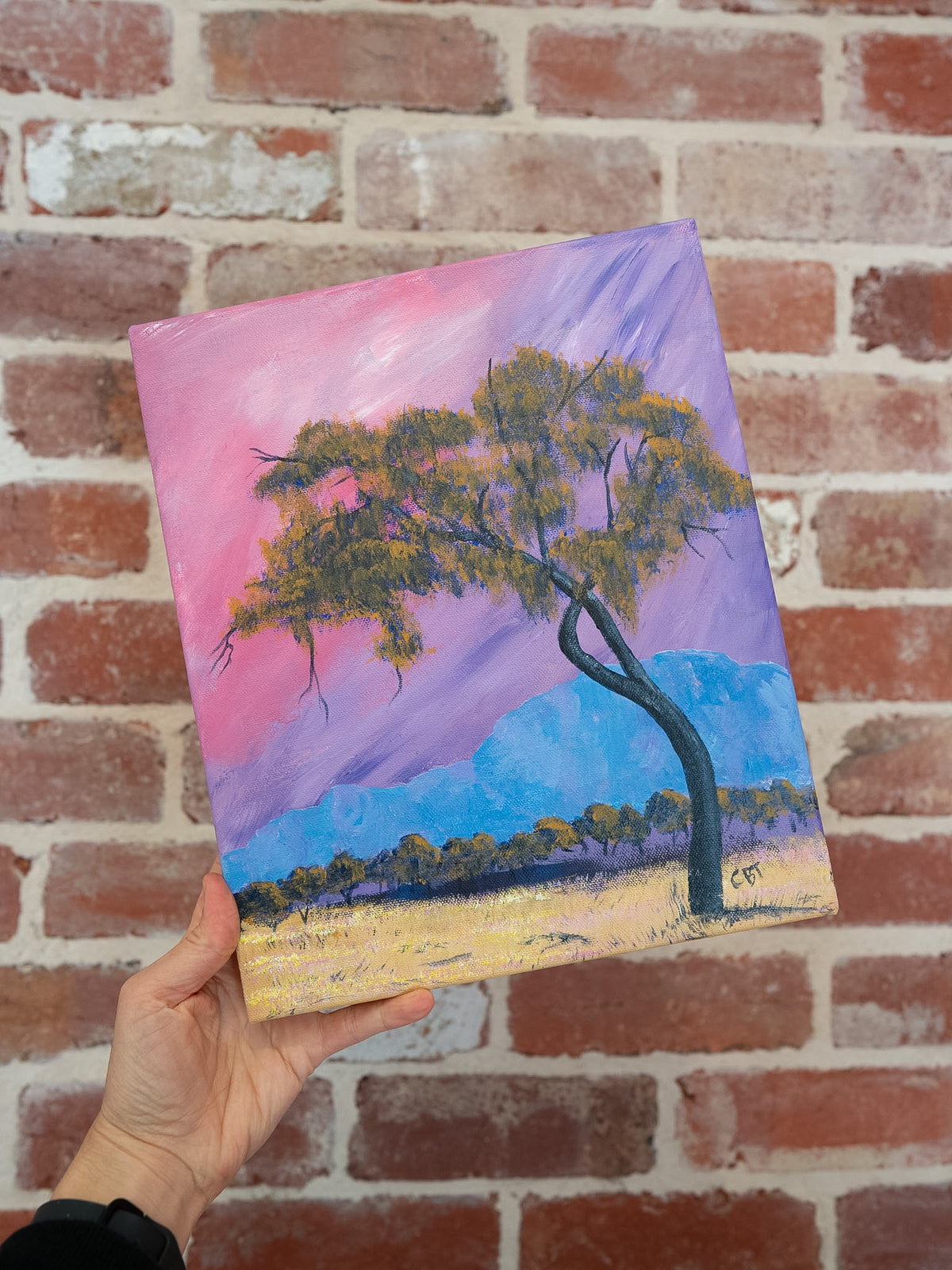 Gentle Light by Carolyn Brennan-Tucker