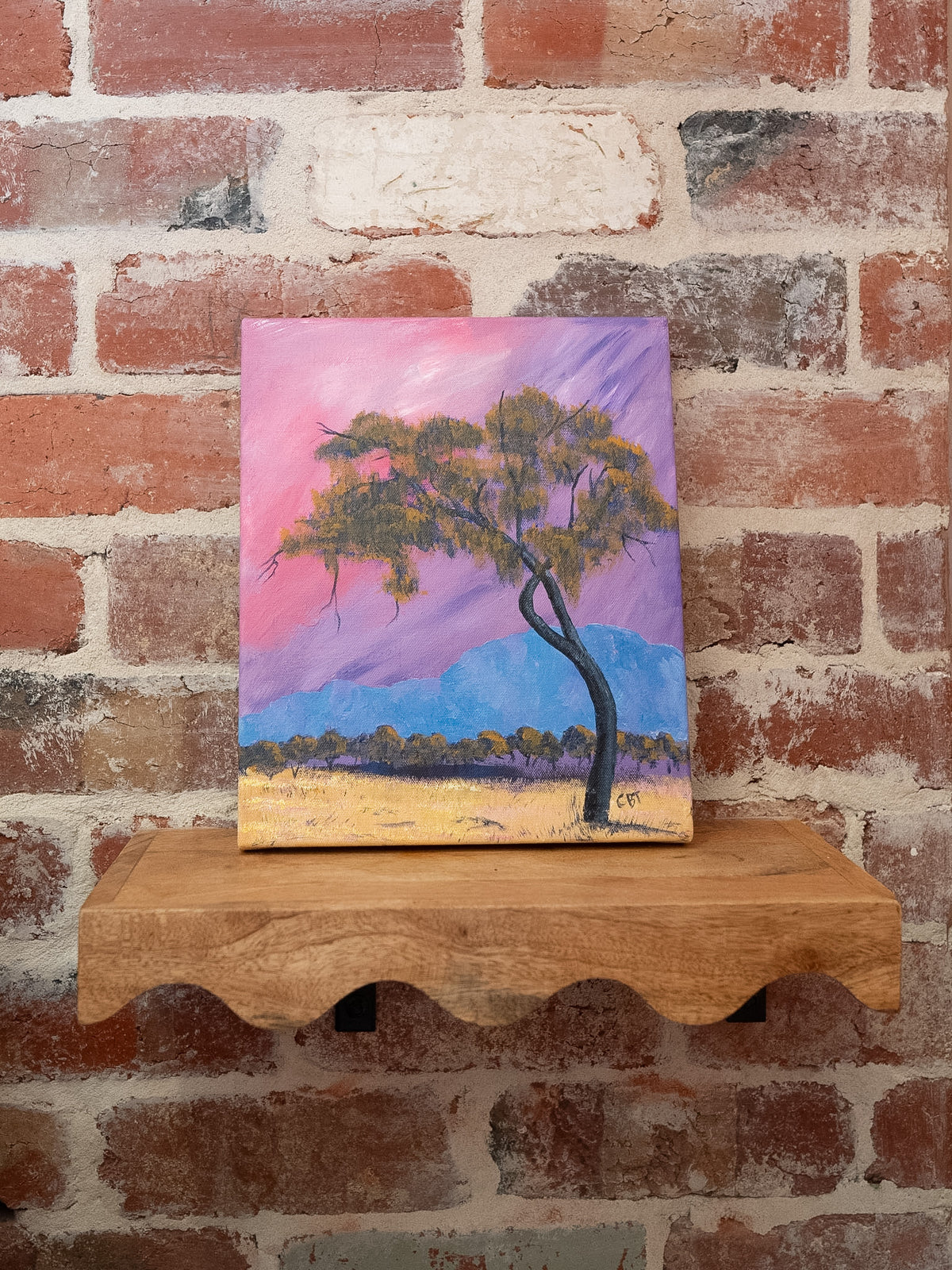 Gentle Light by Carolyn Brennan-Tucker