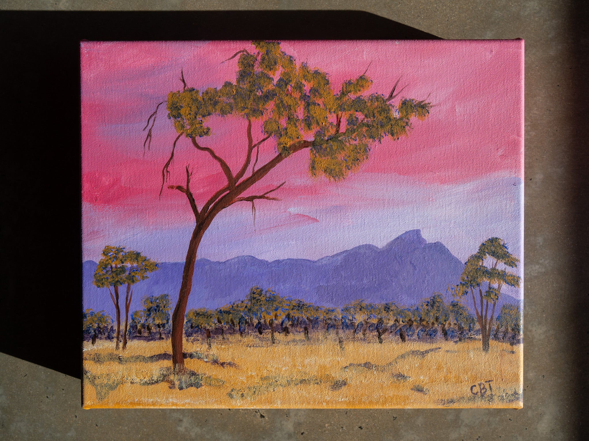 Track to the Airstrip by Carolyn Brennan-Tucker