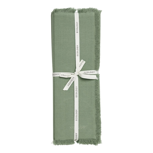 Fray Placemats Set of 4 - Midday