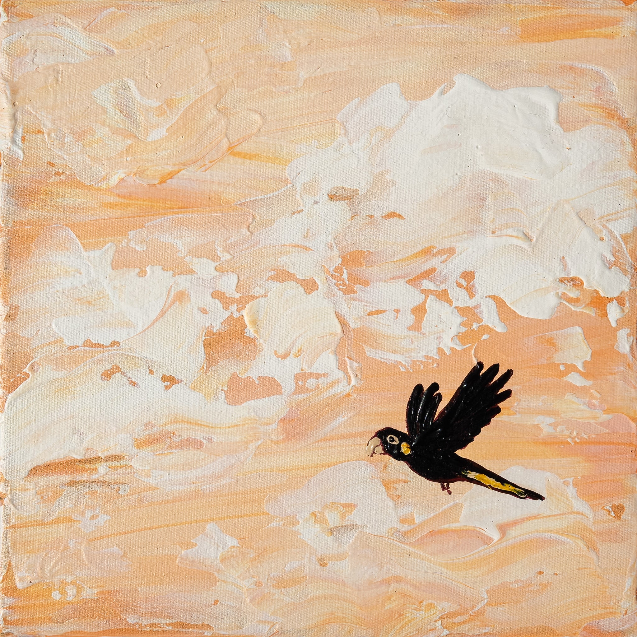 Things Are Looking Up by Elle Pervez