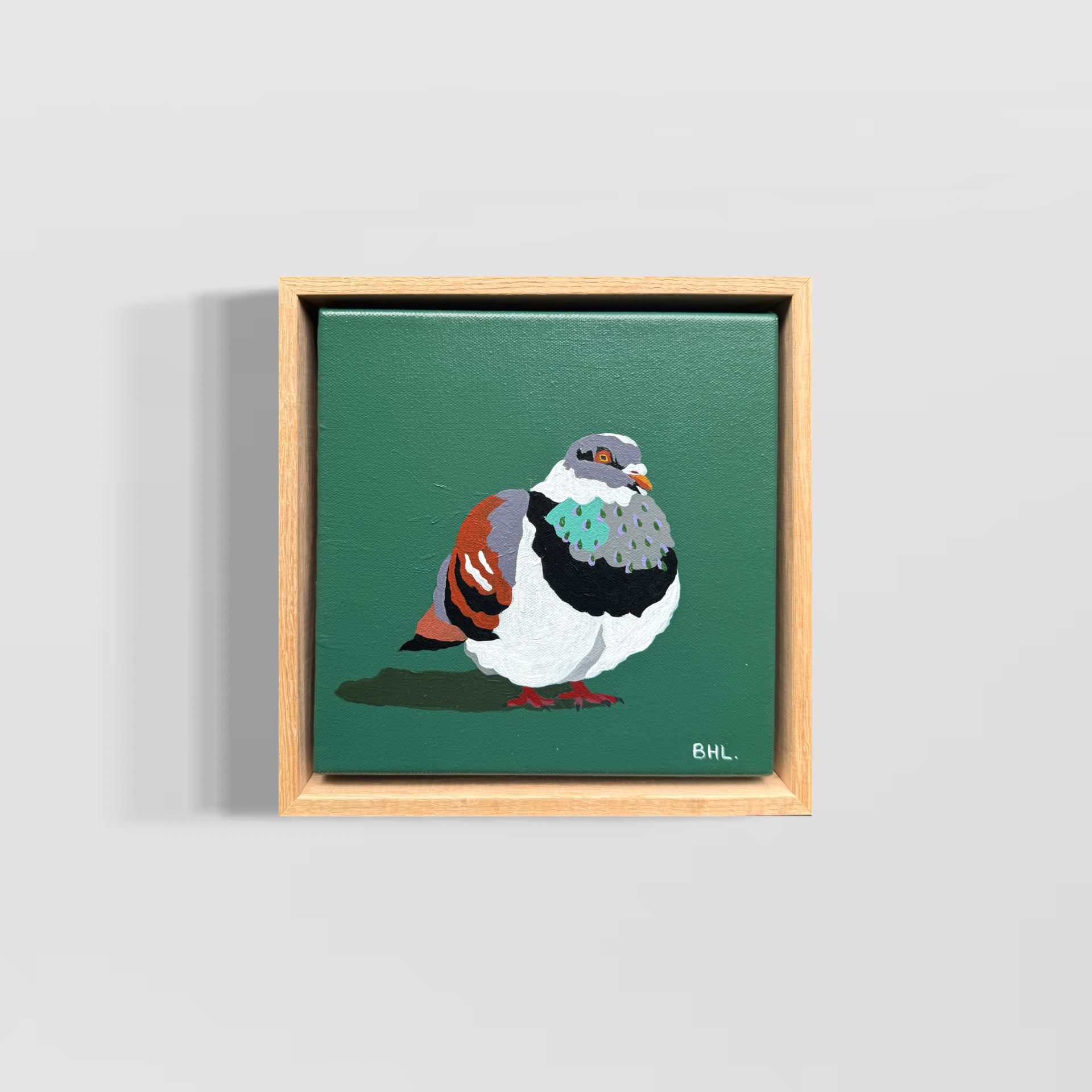 Kiwi