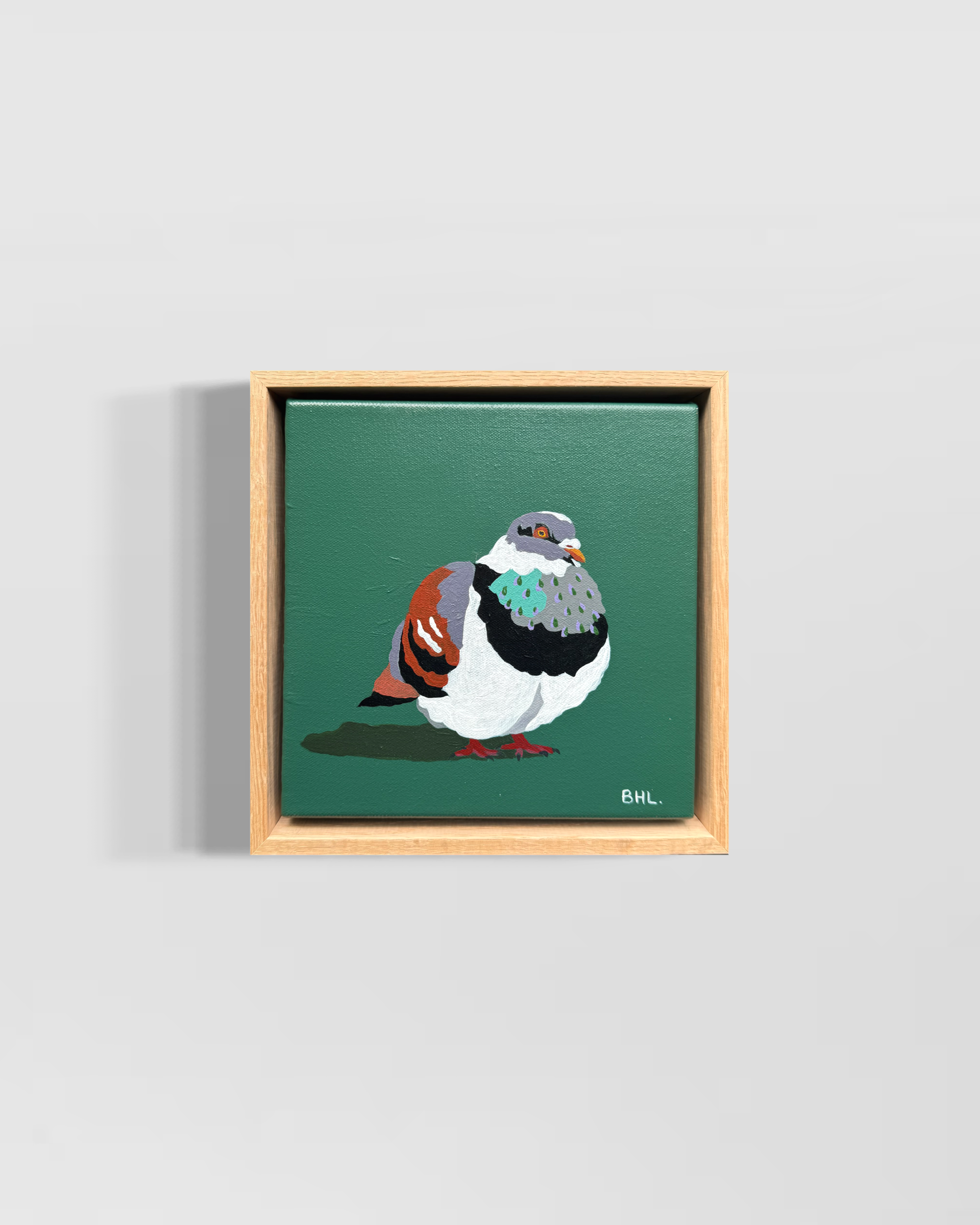 Kiwi
