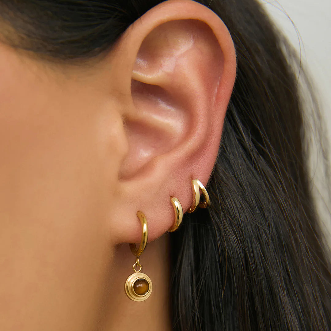 Asher Gold Earrings - Tiger's Eye