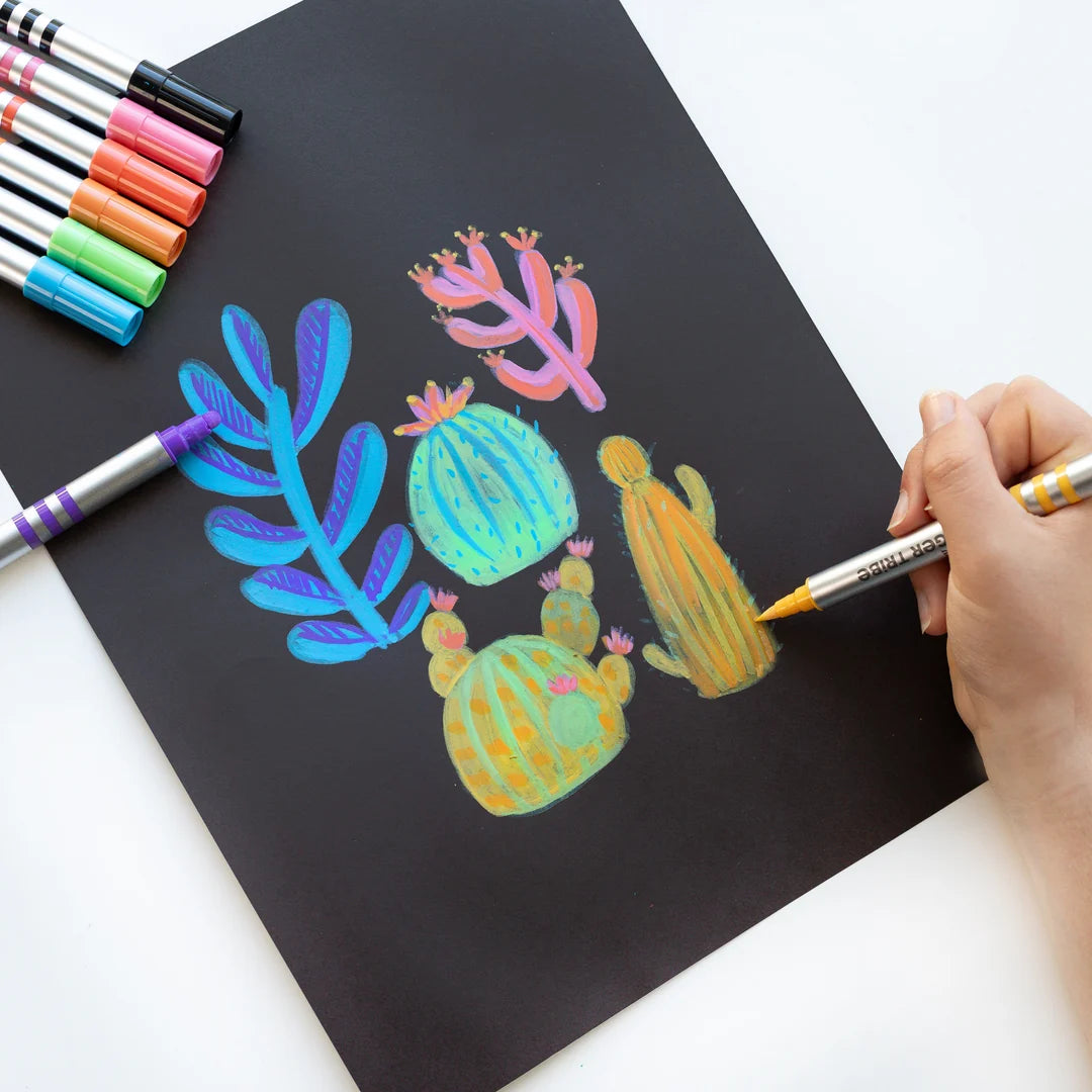 Dual Tip Paint Pens