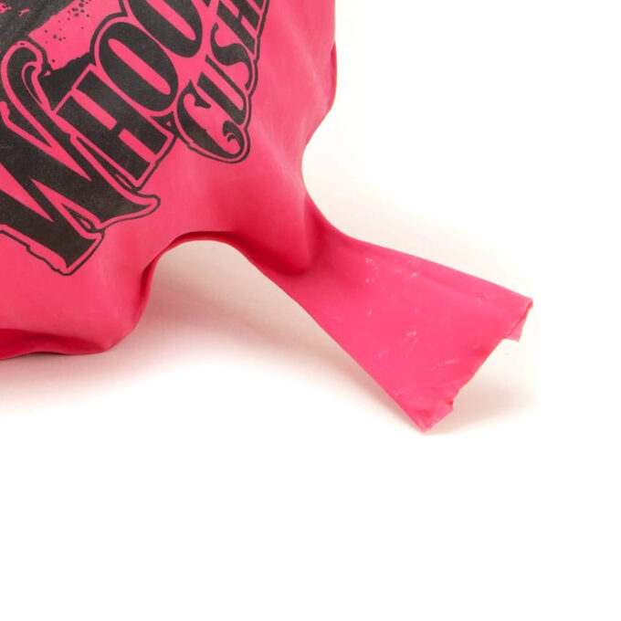 Whoopee Cushion