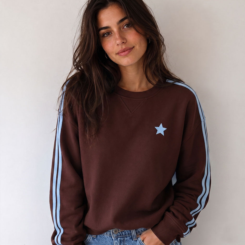 Arm Stripe Sweatshirt - Chocolate & Baby Blue