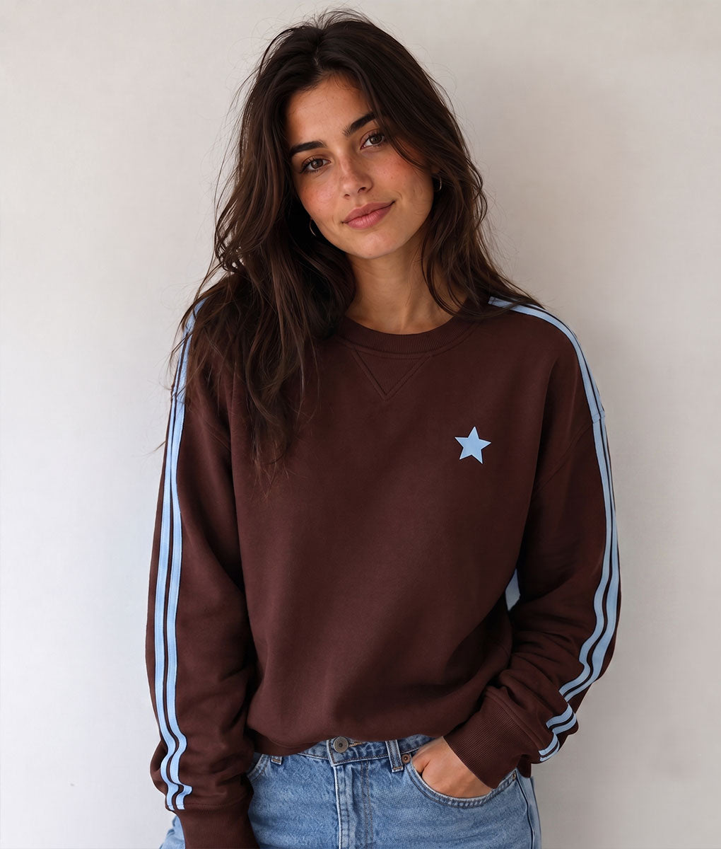 Arm Stripe Sweatshirt - Chocolate & Baby Blue
