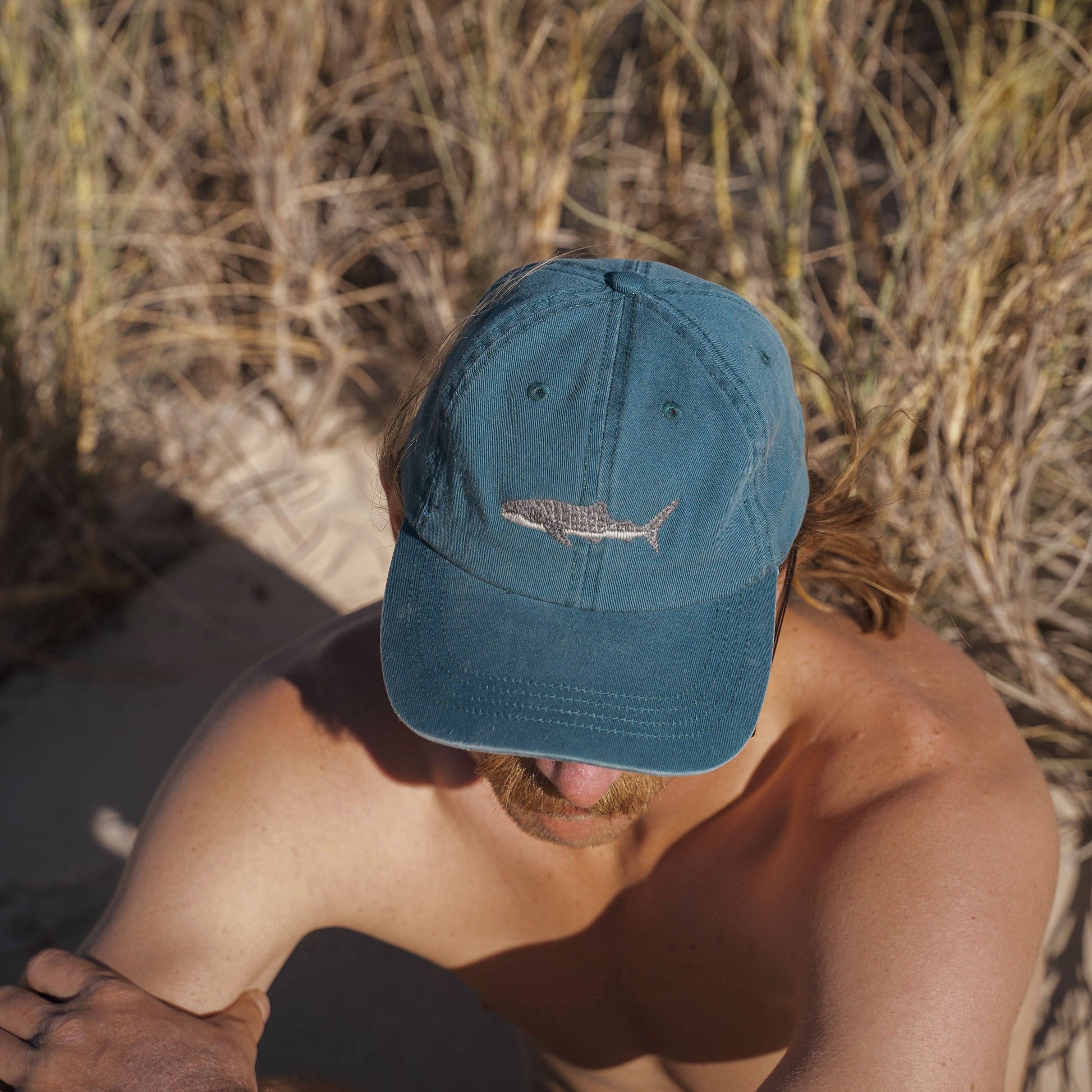 Whale Shark Lid