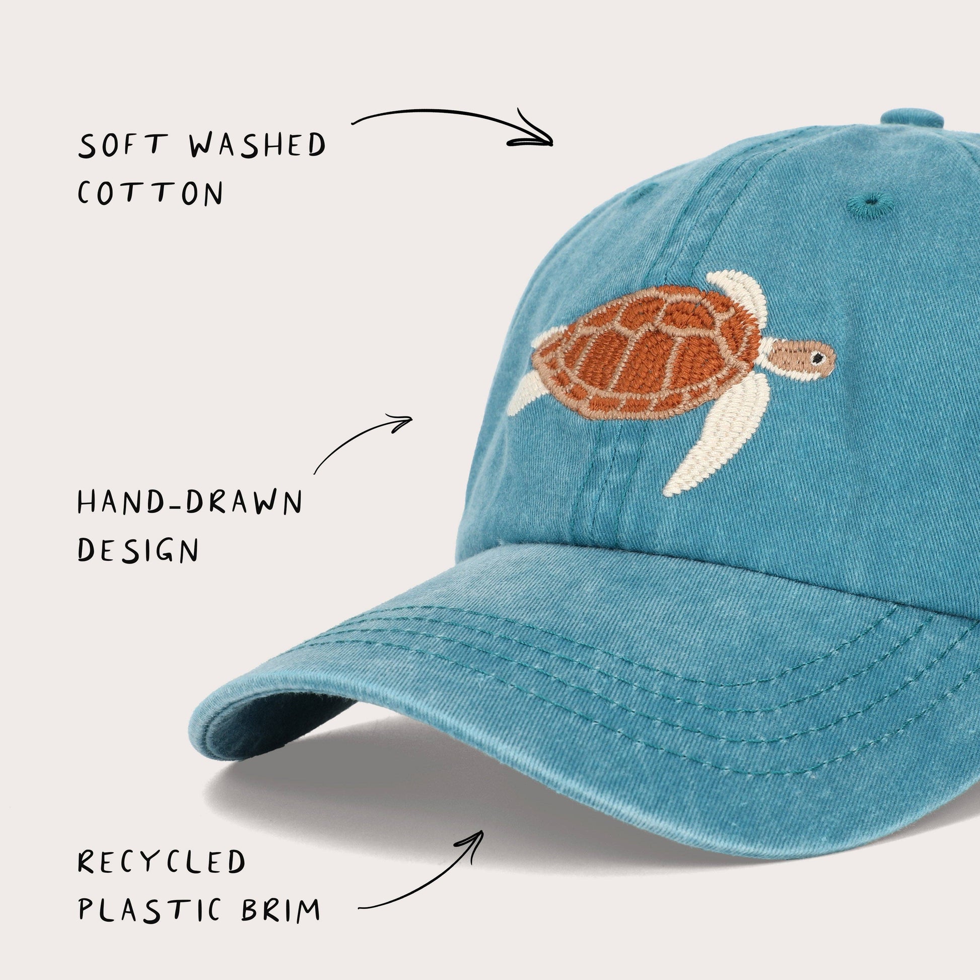 Turtle Lid