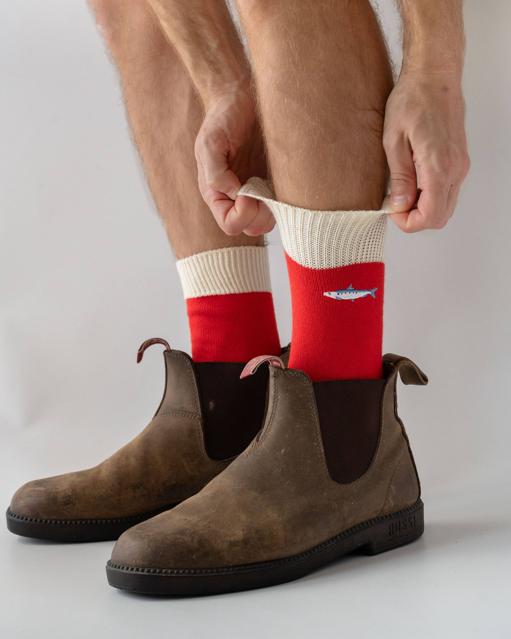 Sardine Fish Socks