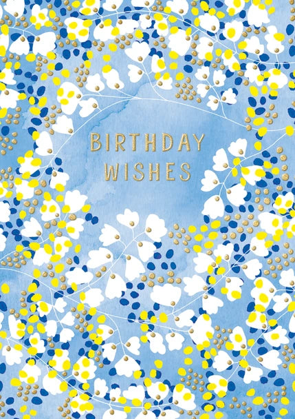 Birthday Wishes