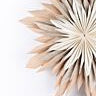 Fable hanging Paper Flower