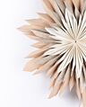 Fable hanging Paper Flower