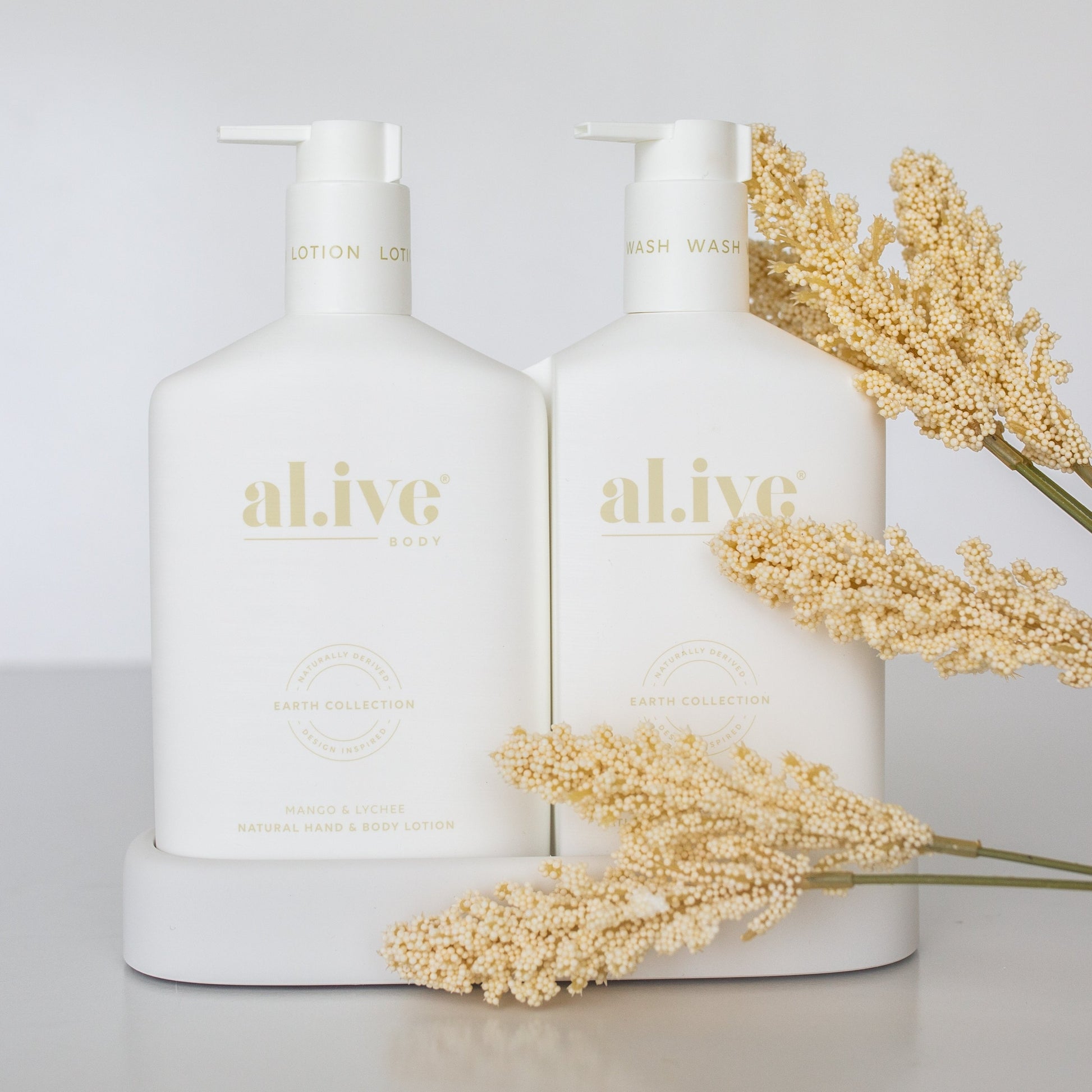 Hand Wash & Body Lotion Duo + Tray - mango & lychee