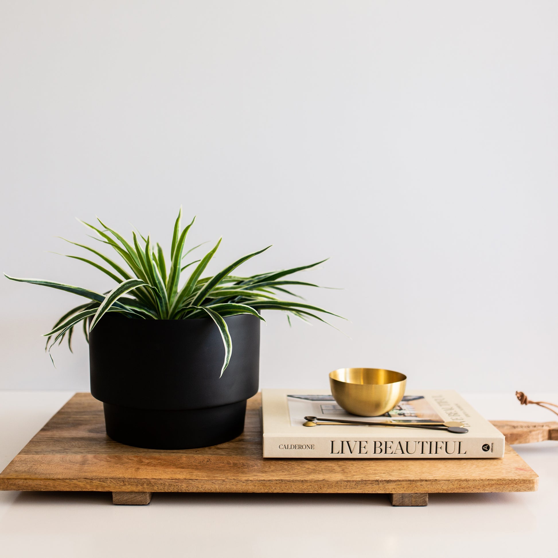 Century Pot | Black