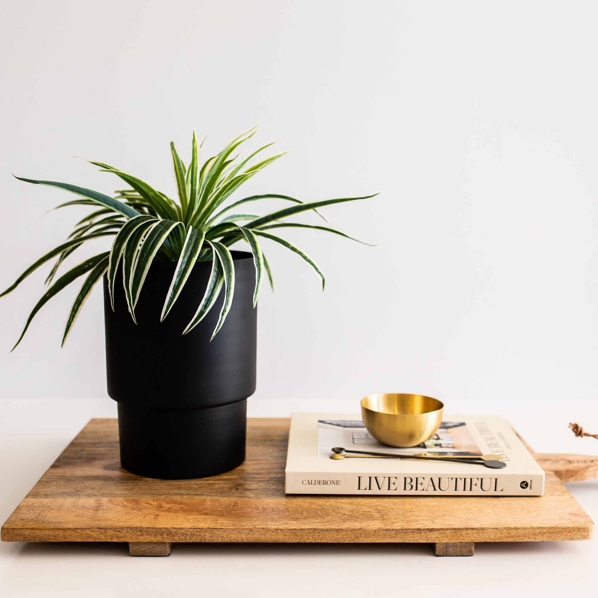 Century XL Vase - Black