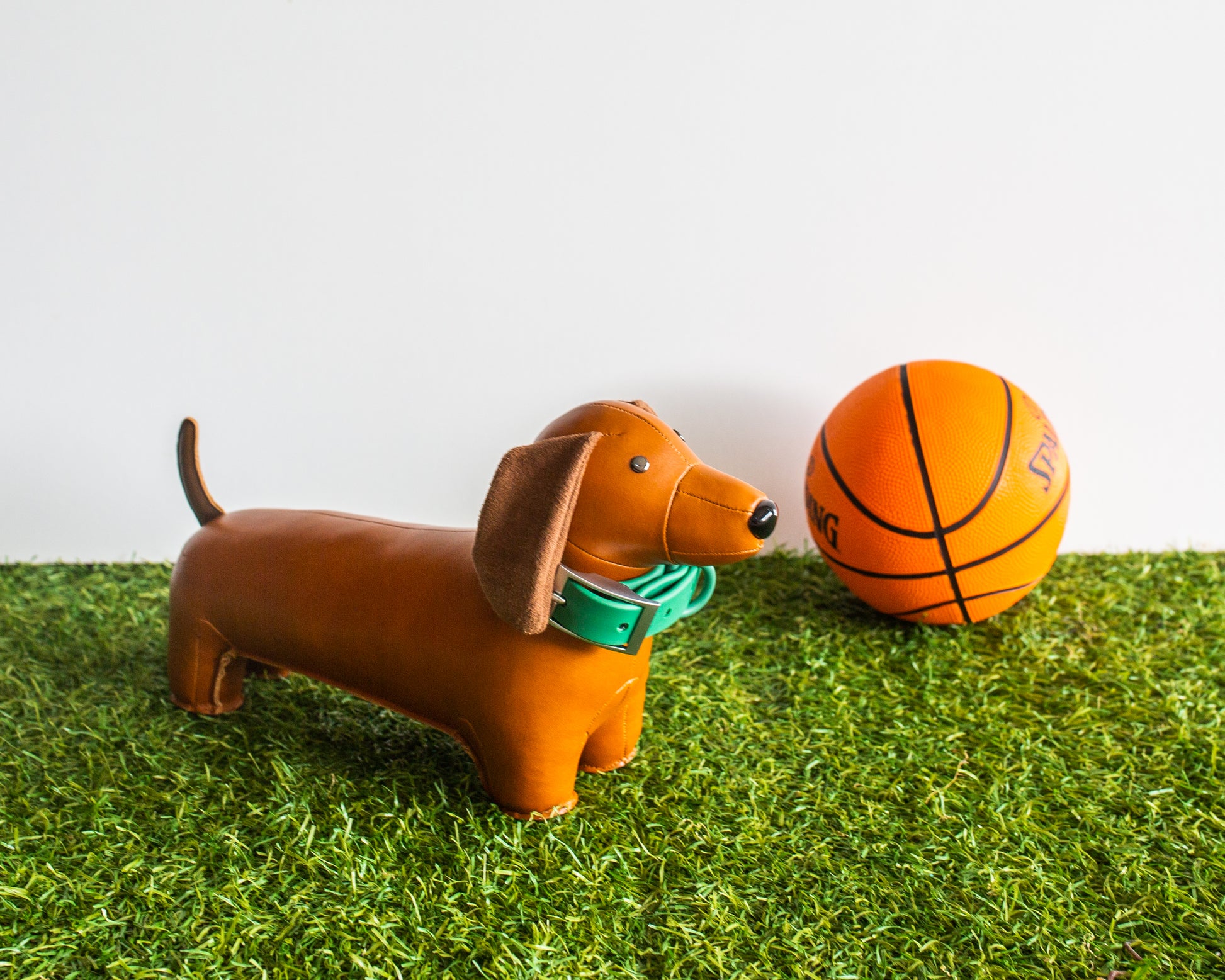 DOG COLLAR | S | GREEN